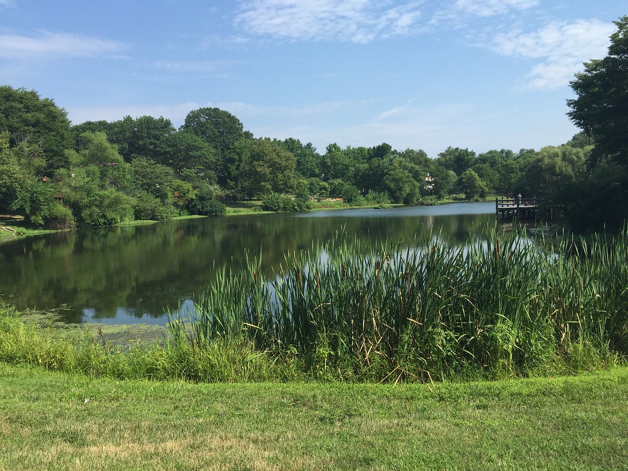 新澳天天彩正版資料深圳有樹(shù)有湖的公園，城市中的綠洲，深圳公園綠洲，樹(shù)湖相映，新澳天天彩正版資料之地