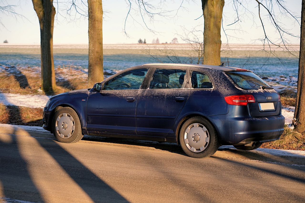 2024新奧精準(zhǔn)正版資料選什么車身顏色好看又便宜，2024新奧車型車身顏色推薦，美觀又實(shí)惠的選擇指南