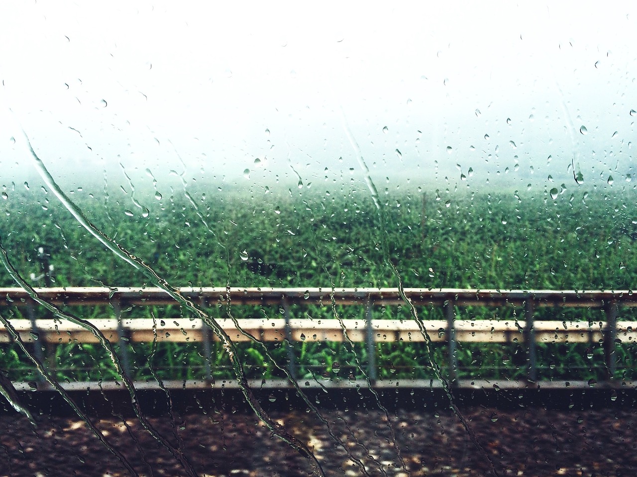 窗外雨的悄然降臨