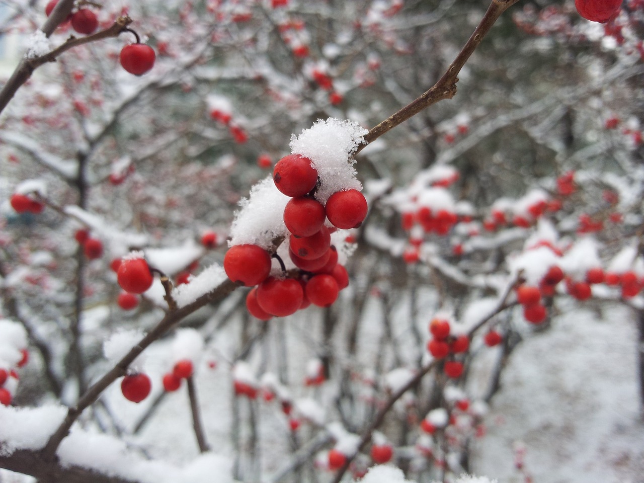 關(guān)于即將到來的小雪節(jié)氣知識介紹，氣候特點與生活養(yǎng)生須知