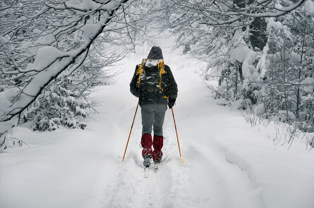 四川遭遇罕見暴雪，應(yīng)對(duì)挑戰(zhàn)的關(guān)鍵措施與策略分析