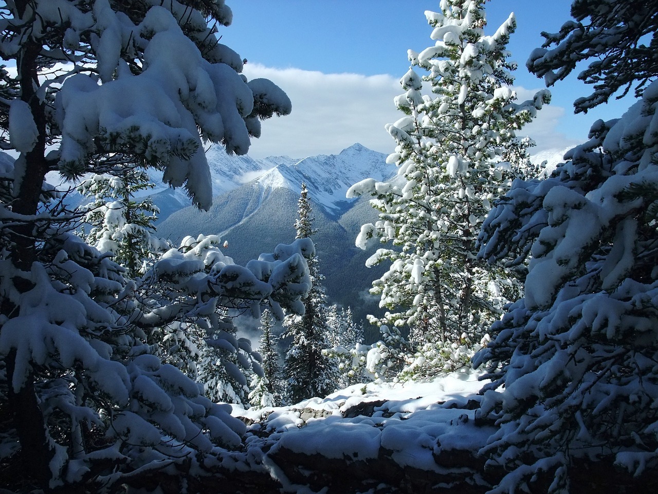 冬日雪舞，雪花紛飛的美景