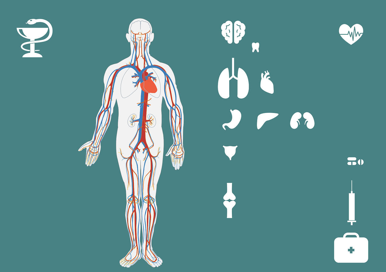 急救，生命的緊急時(shí)刻守護(hù)者